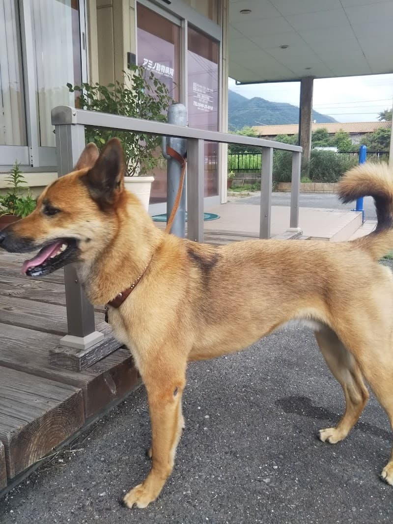 アミノ動物病院