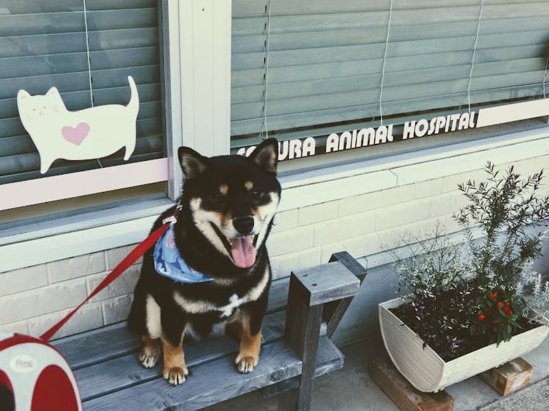 さくら動物病院