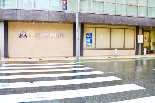 めとき動物病院往診部門クリニック