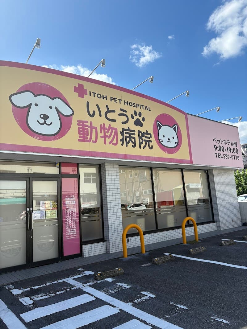 伊藤動物病院