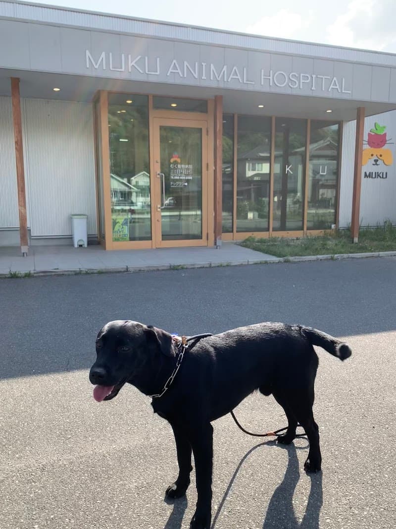 むく動物病院