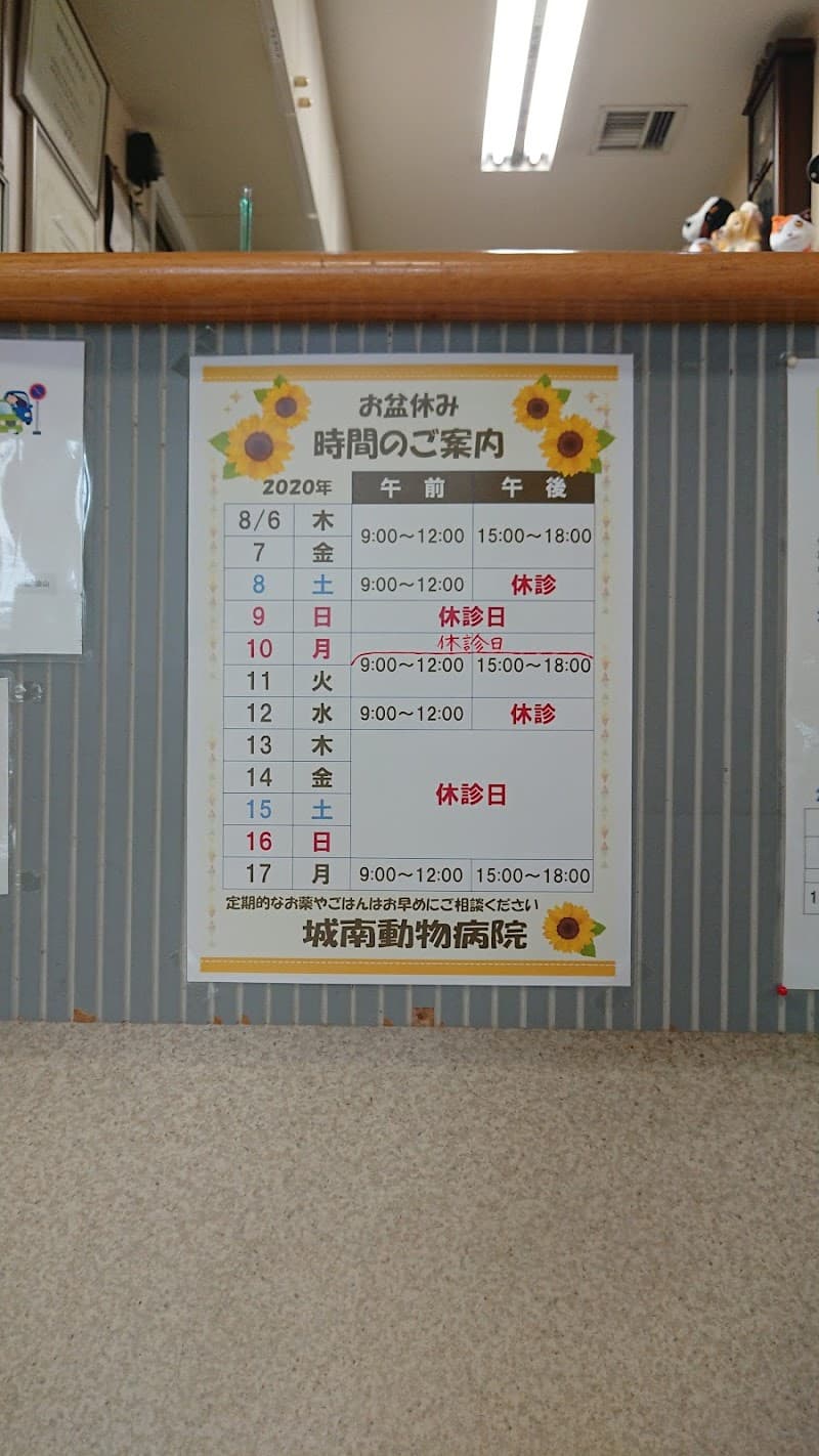 城南動物病院
