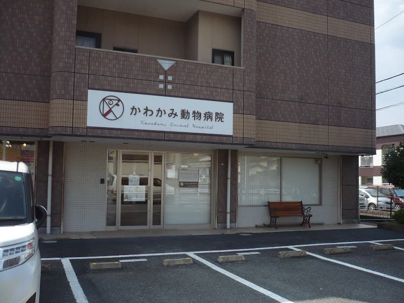かわかみ動物病院