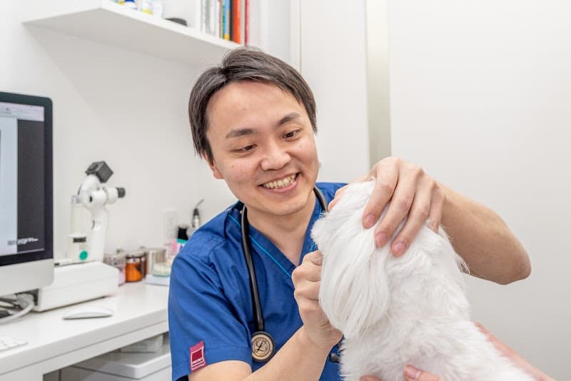 こばやし動物病院