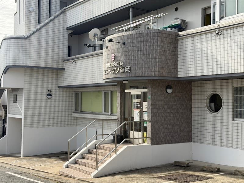 動物総合病院 ユニベッツ福岡