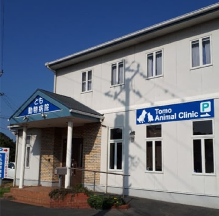 とも動物病院