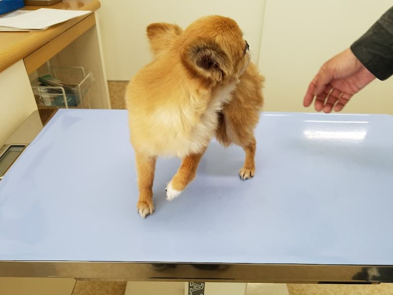 エフ・筑紫通りペットクリニック