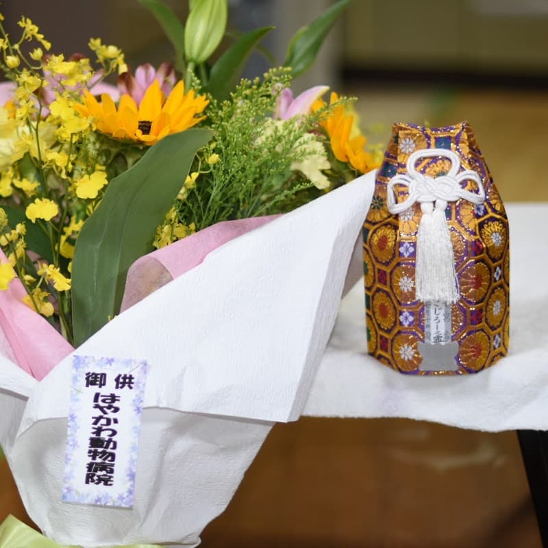 はやかわ動物病院