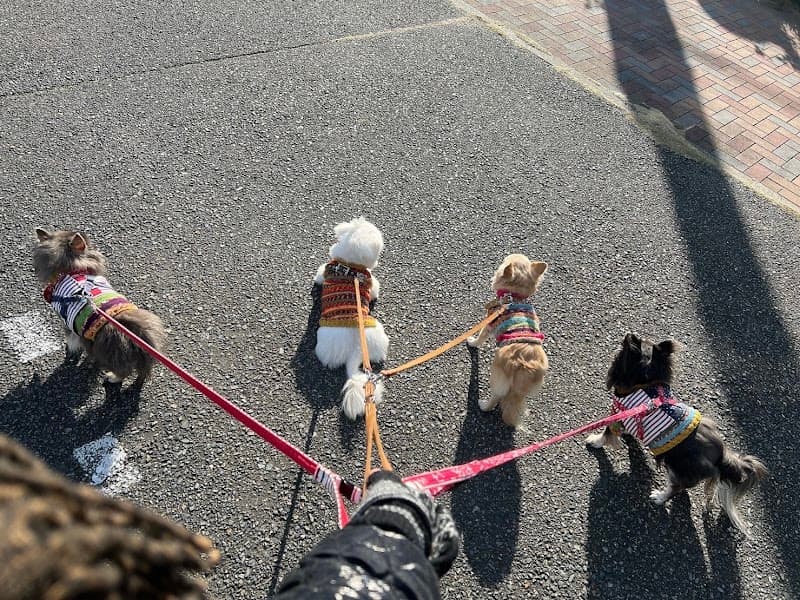 森どうぶつ病院