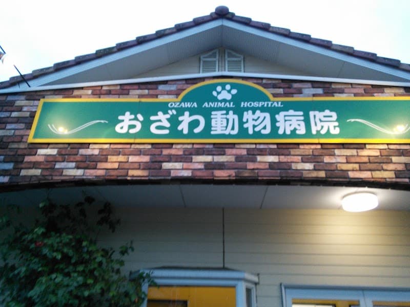 おざわ動物病院