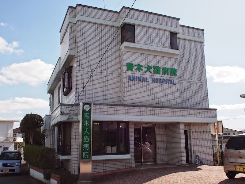青木犬猫病院
