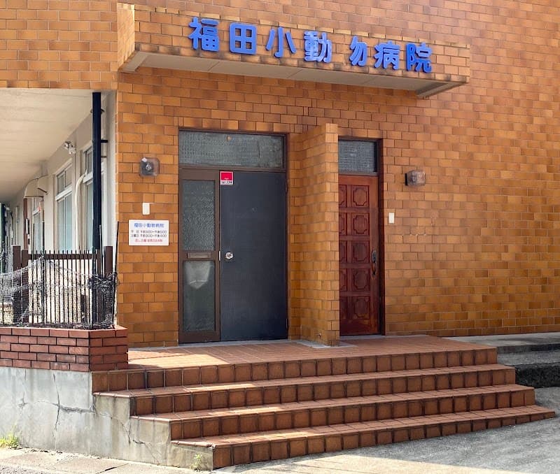 福田小動物病院