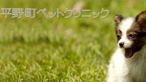 平野町ペットクリニック