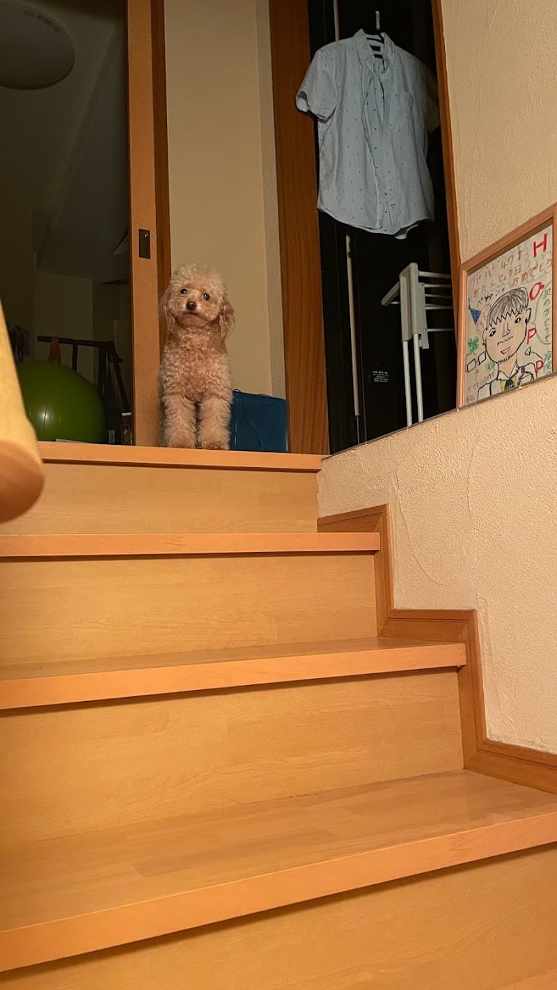 ノア動物病院
