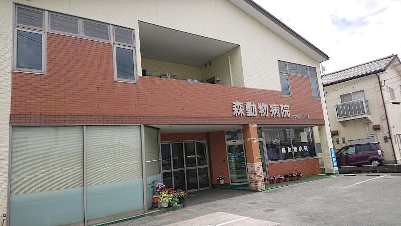 森動物病院