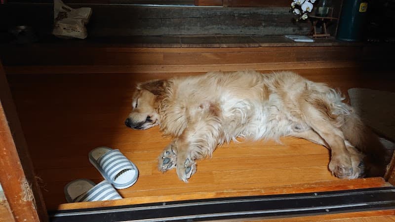 カイハラ動物病院