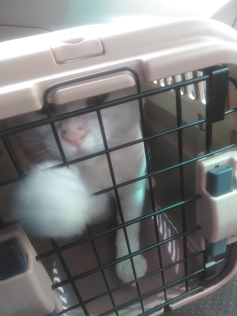 石川ペットクリニック