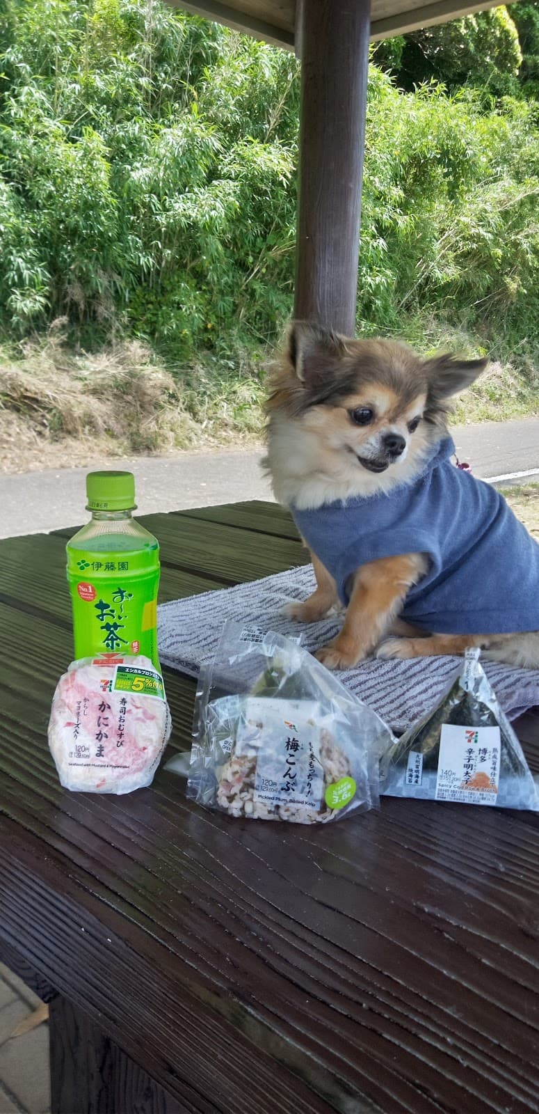 今村動物病院