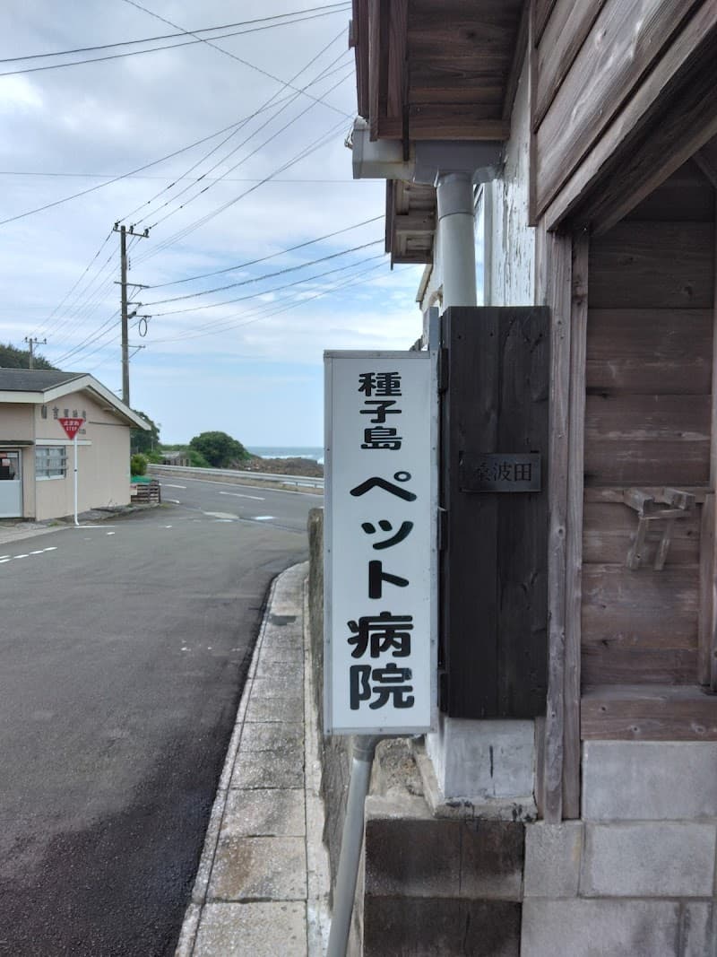 種子島ペット病院