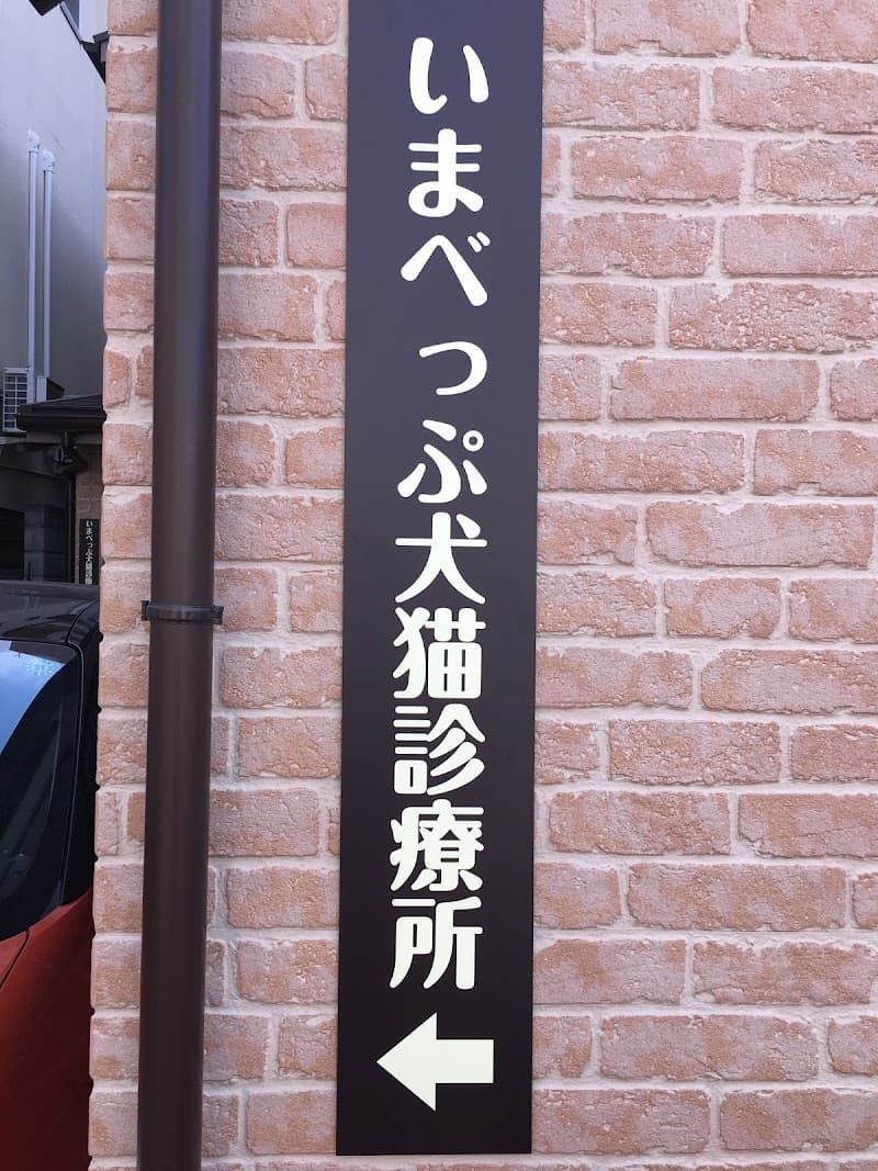 いまべっぷ犬猫診療所
