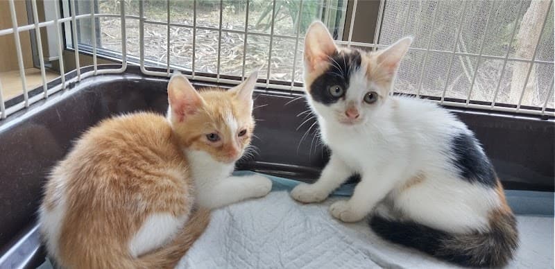 いろは動物クリニック