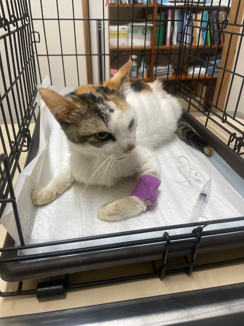 よみたん動物病院