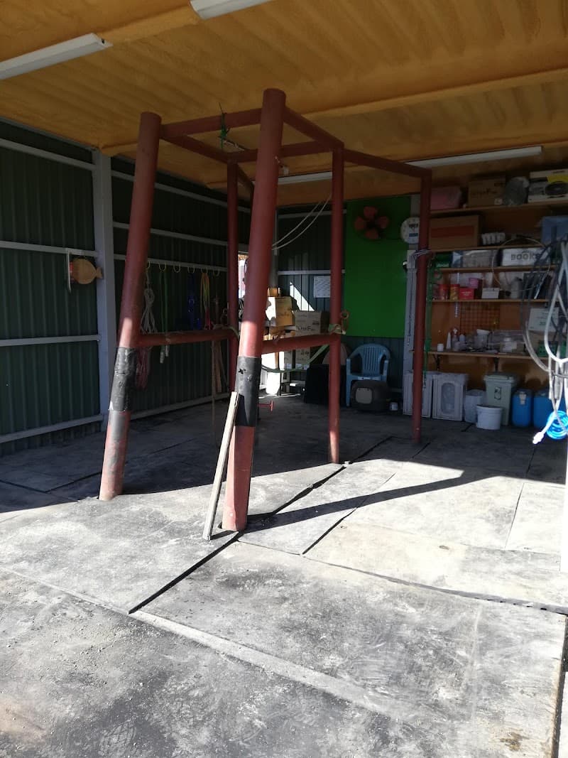 合同会社 アテナ統合獣医ケア Ban'ei競走馬診療所