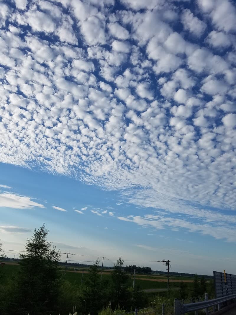 帯広家畜総合病院