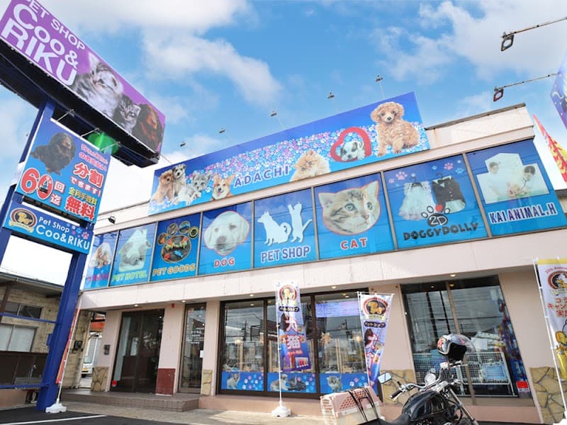 ペットショップCoo&RIKU 足立本店