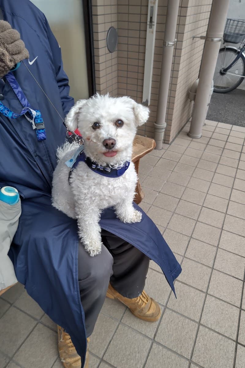 みやまえだいら動物病院