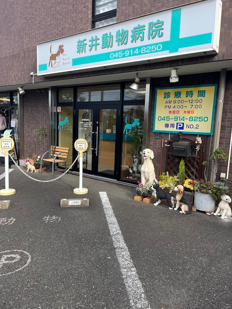 新井動物病院