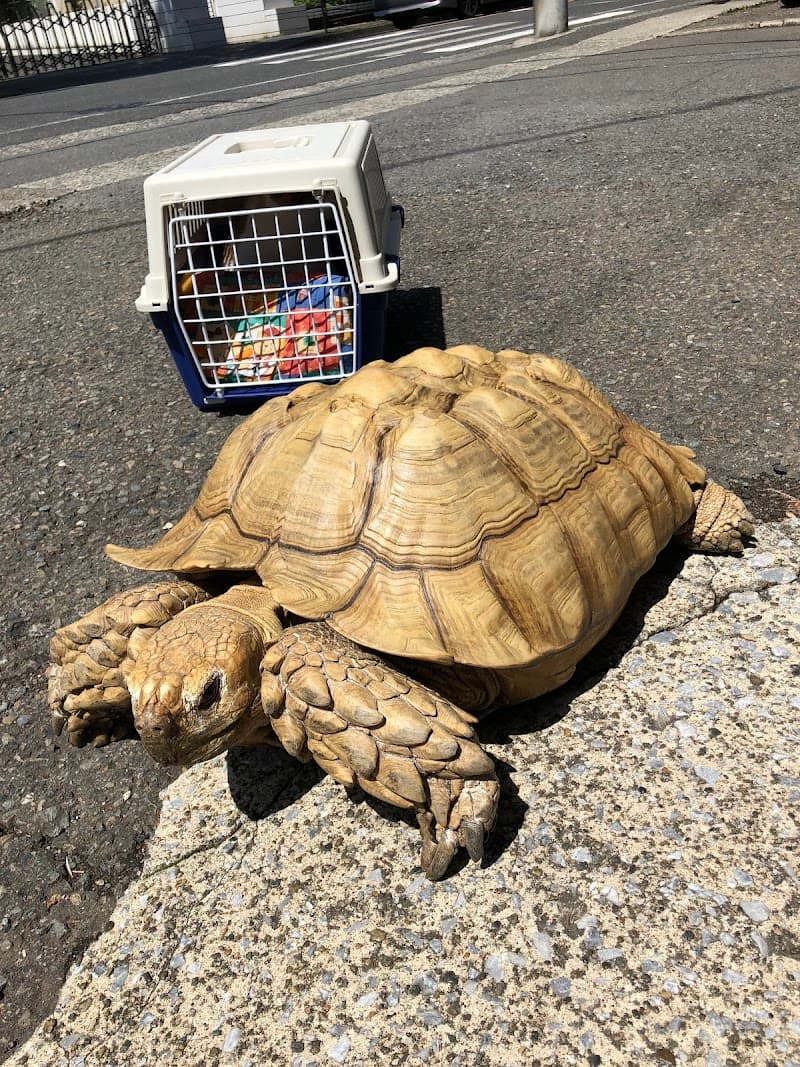 ポー・リー動物病院