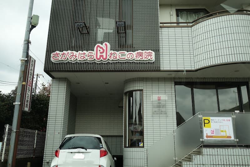 さがみはらねこの病院