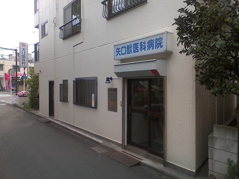 矢口獣医科病院