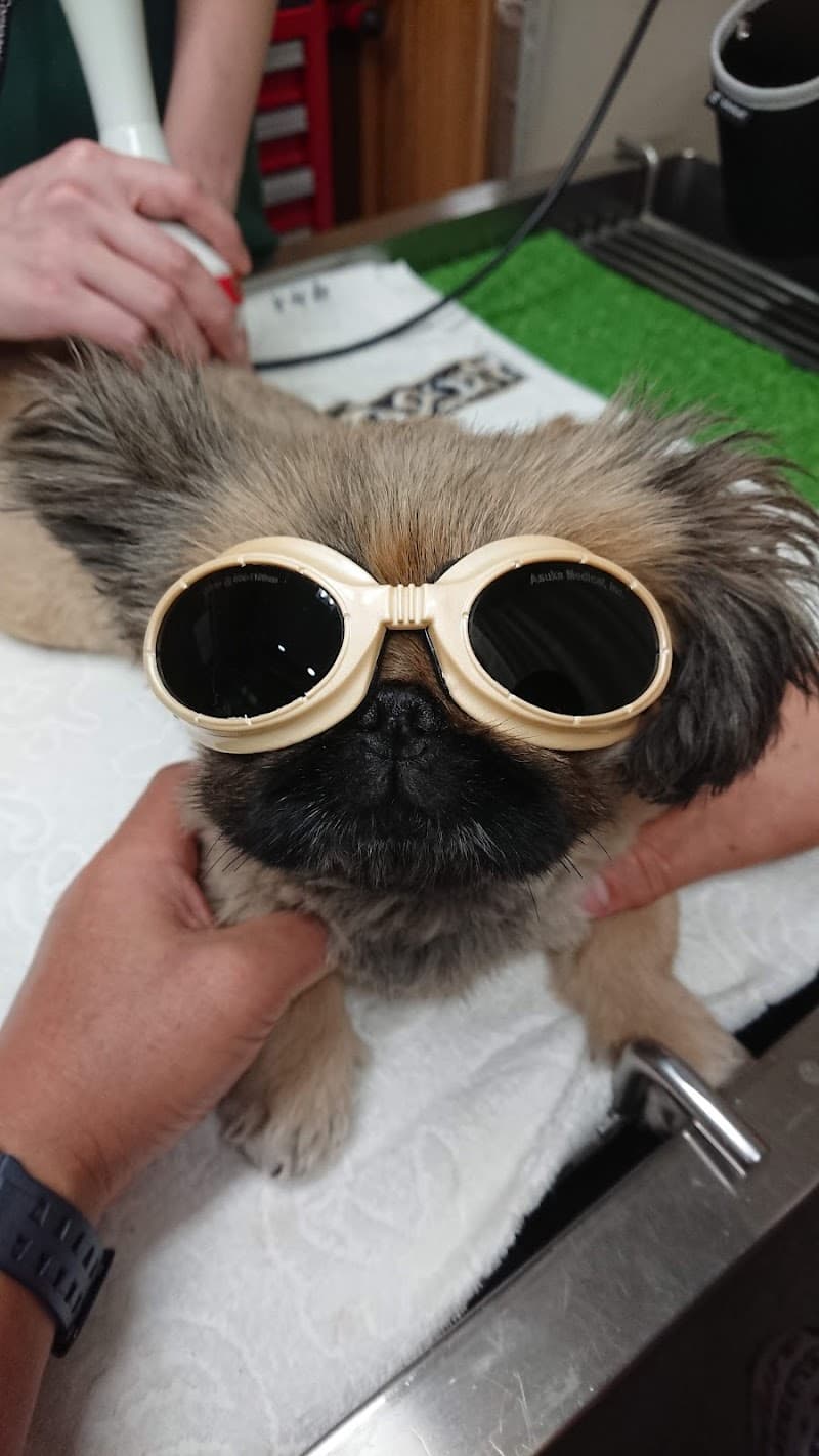 みなとよこはま動物病院