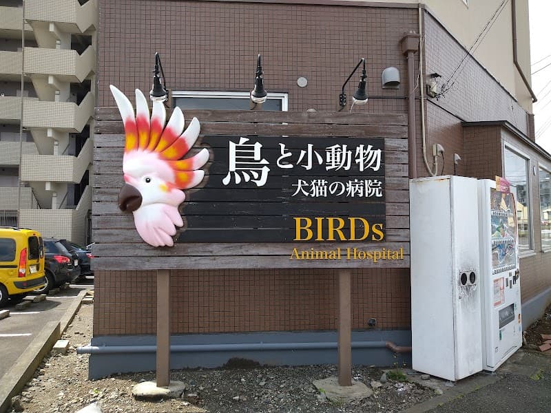 バーズ動物病院