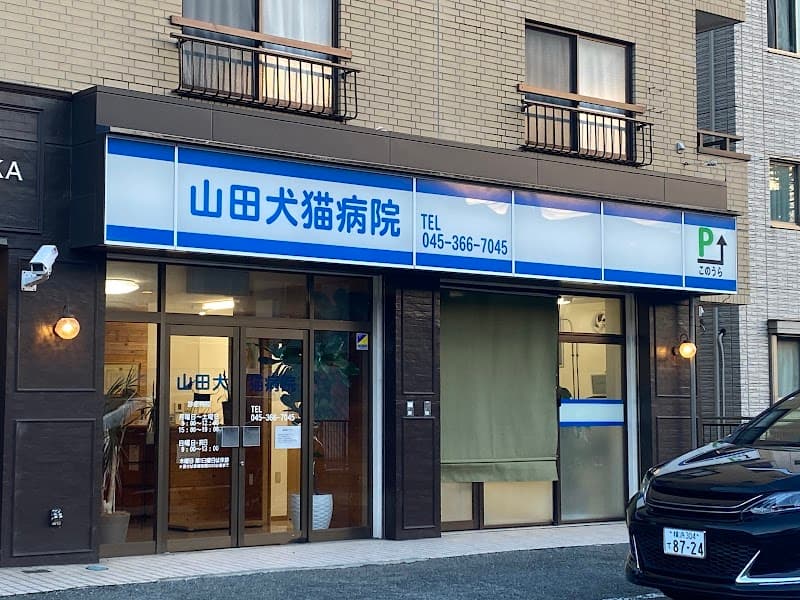 山田犬猫病院