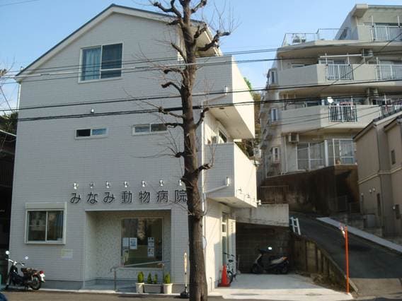 みなみ動物病院