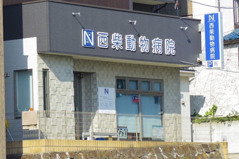 西柴動物病院