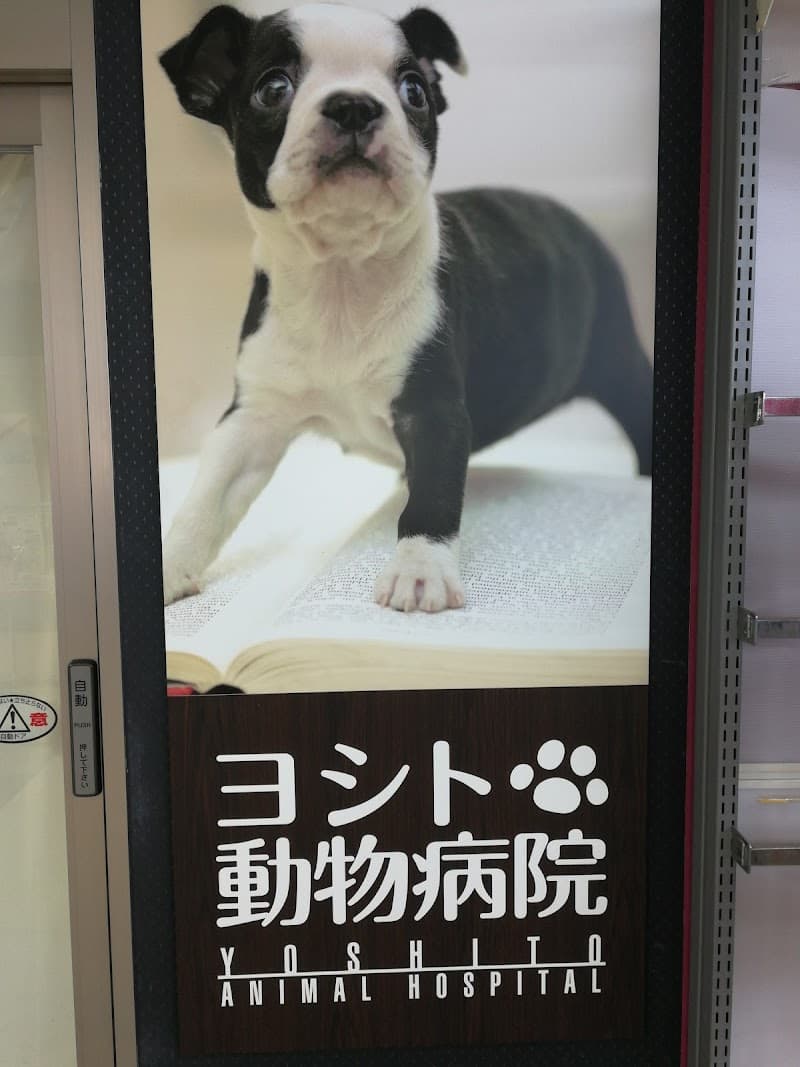 ヨシト動物病院