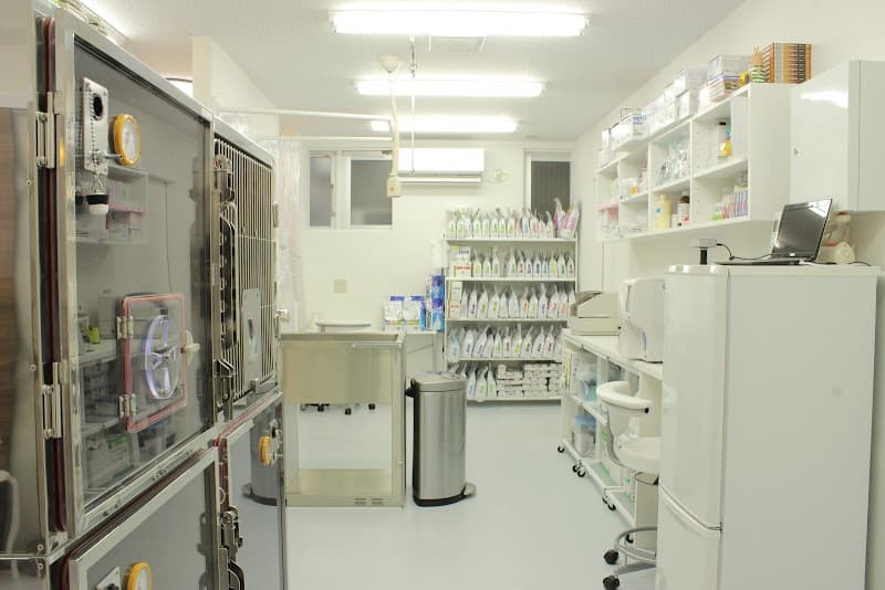 星川レオン動物病院(ウサギの専門診療)