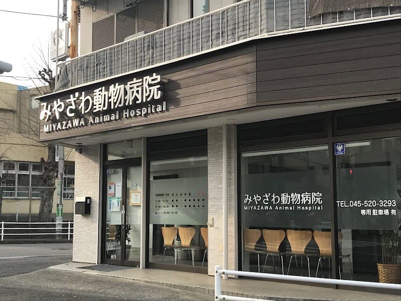 みやざわ動物病院