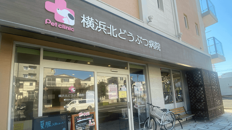 横浜北どうぶつ病院