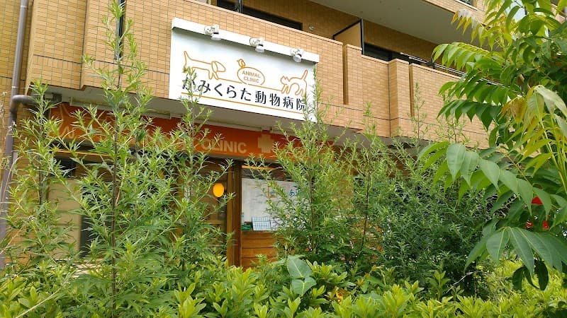 かみくらた動物病院