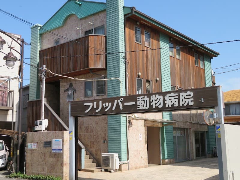 フリッパー動物病院