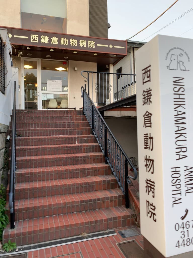 西鎌倉動物病院