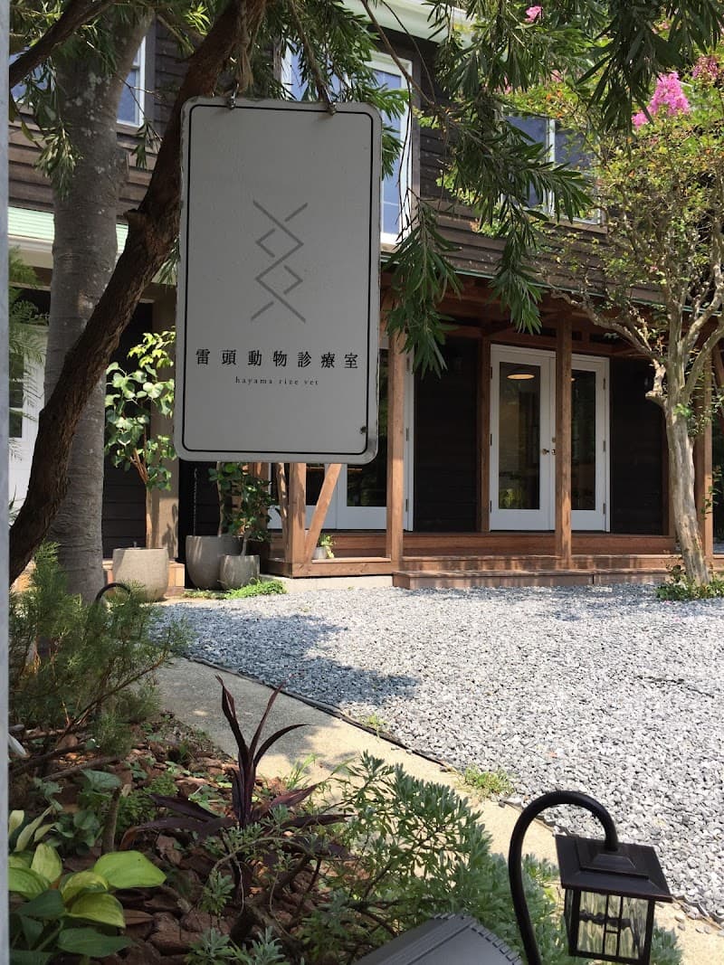 雷頭動物診療室 HAYAMA RIZE VET 葉山の犬猫病院 サードオピニオン 再生医療