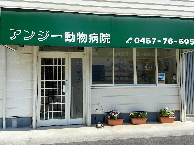 アンジー動物病院