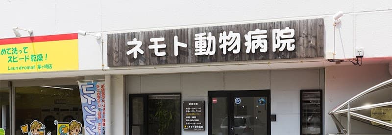 ネモト動物病院