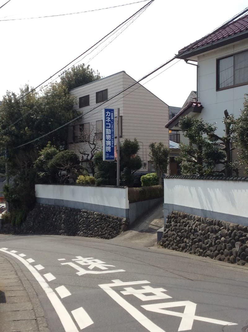 カネコ動物病院
